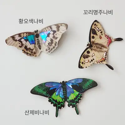 [東アジアの漆器]螺鈿蝶マグネット国立中央博物館特別展示