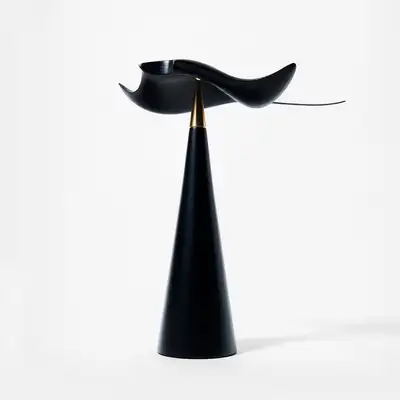 蝠鱝（動力藝術）