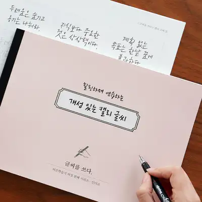 Write Your Letters - Distinctive Calligraphy Writing (7 Handwriting Styles Practice Correction Workbook) Adult Learning Book ⑥
