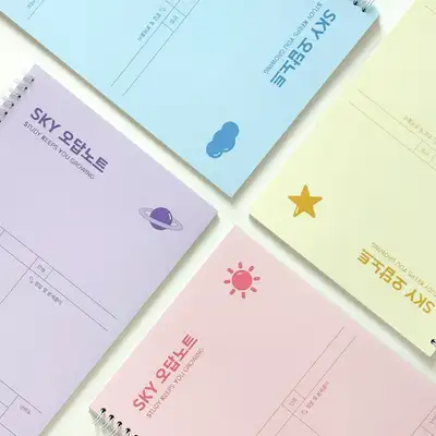 小学 スカイ SKY 間違い問題ノート