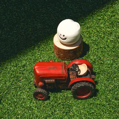 Mini Marsh on the field_毛绒娃娃