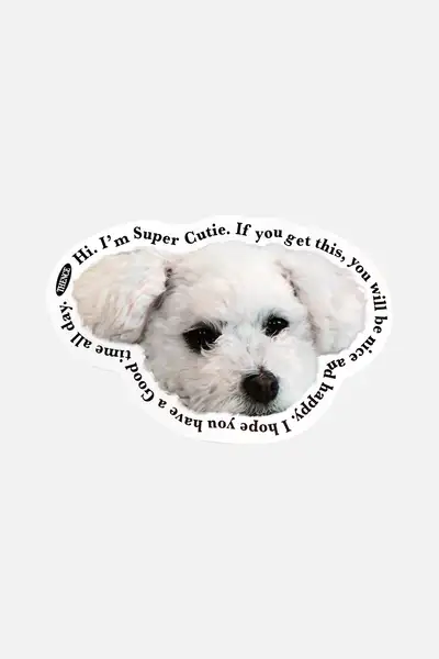 Thomson Card_White Puppy