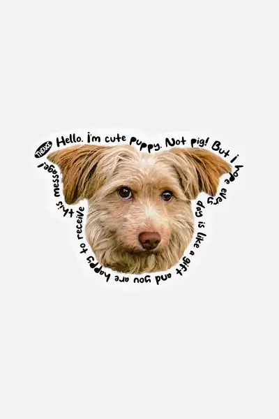 Thomson Card_Brown Puppy