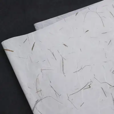 Nature-Filled Grass Handmade Paper (5 sheets)