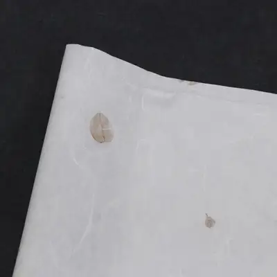 Nature-Filled Sari Leaf Unnyeong Paper White (5 Sheets)