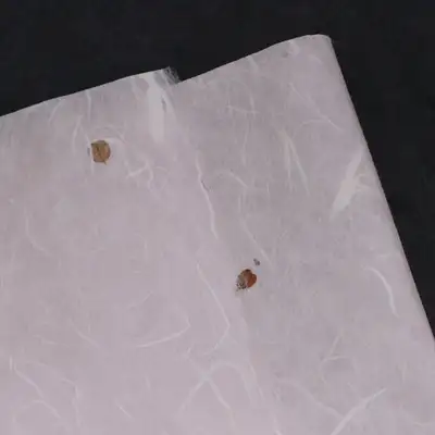 Natural Ssari Leaf Hanji Paper, Chocolate (5 sheets)