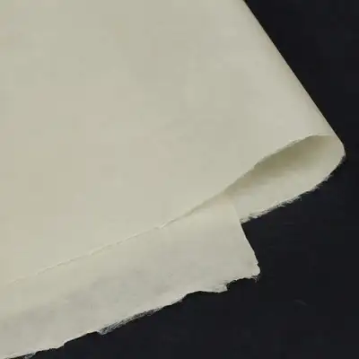 Traditional Dak Jee Large Sheet 30g