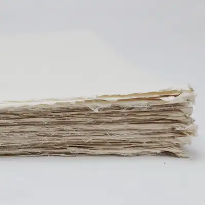 옛지:EDGE A4 2合 (5張)