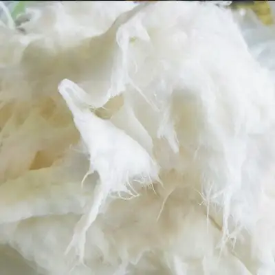 楮漿（傳統韓紙原料）5kg 10kg