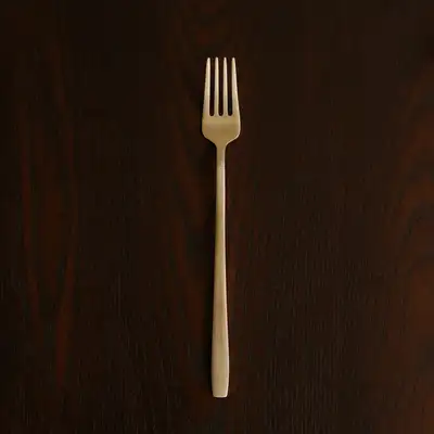 Bangjja Yugi Moon Fork