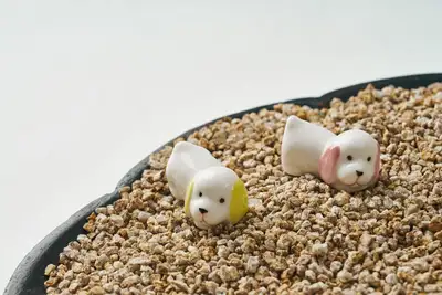 狗狗杯墊