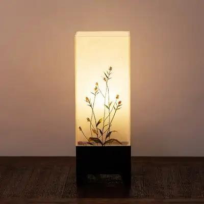 ナズナの花灯