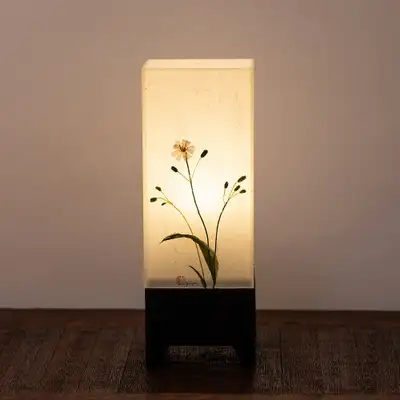 白ホタルチシャの花灯