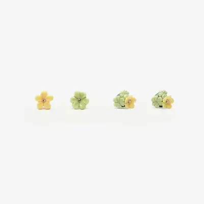 クローバーフラワーピアス(Crystal/Joy)