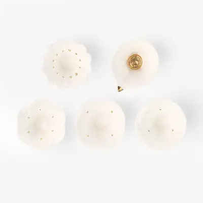フローシピ(ゴールド)カップ