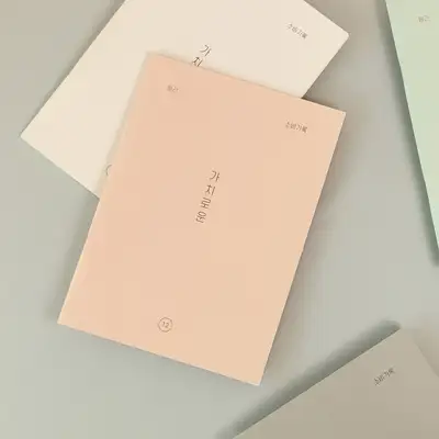 Valuable Monthly Budget Planner (12 Months)