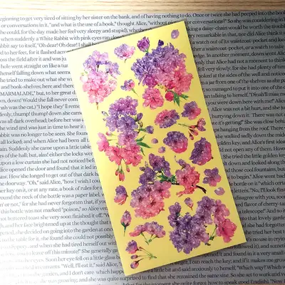 [17]粉紫樱花