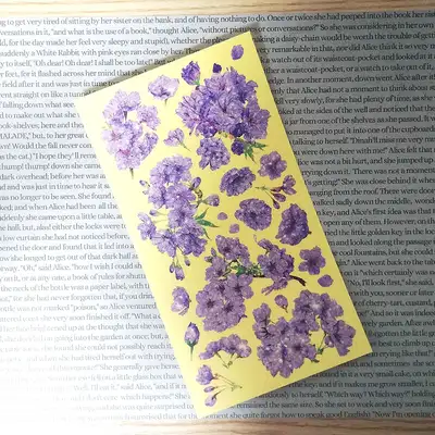 [17]紫罗兰花开