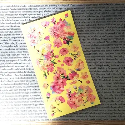 [17]全息花绽