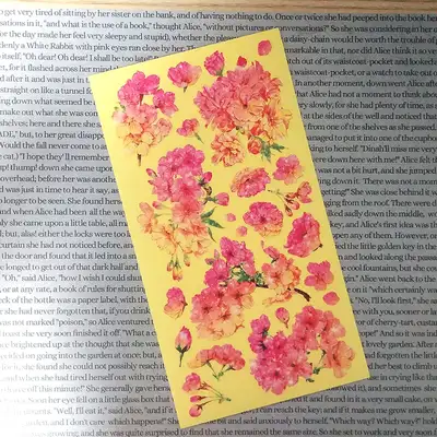 [17]粉黄樱花