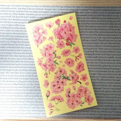 [17]珊瑚花语