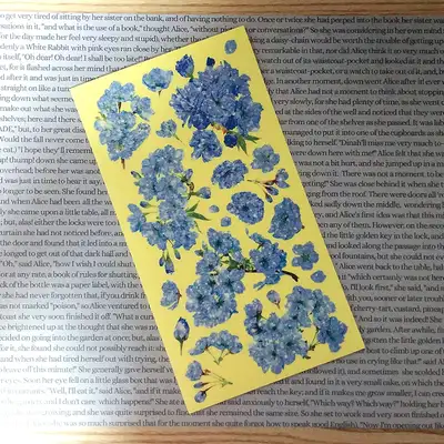 [17]蓝色花语