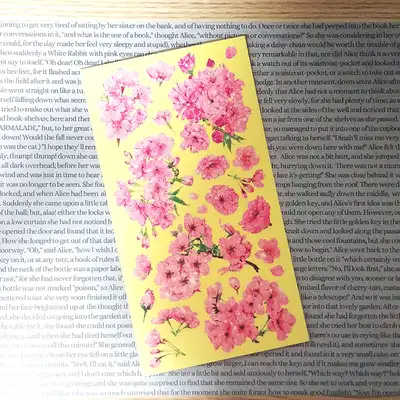 [17]粉色樱花