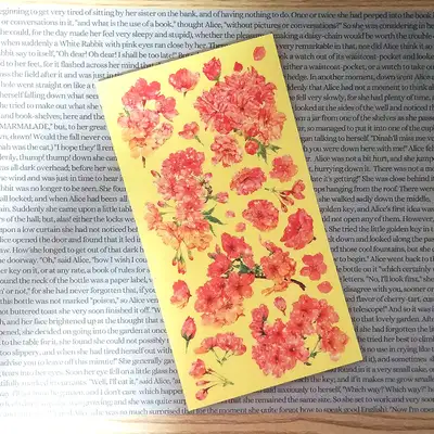 [17]红橙色花绽