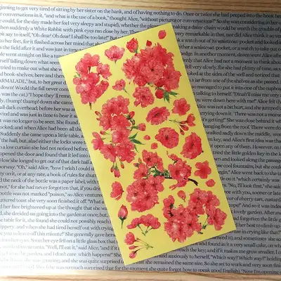 [17]红色樱花