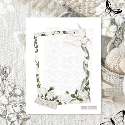 [17] Frame White