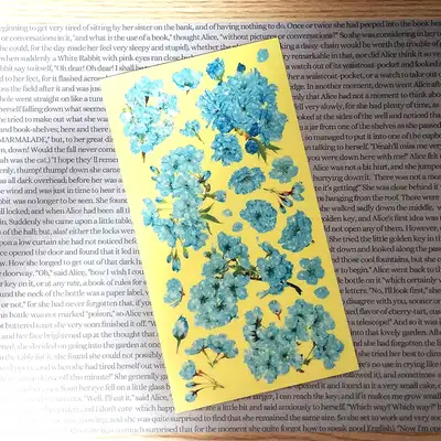 [17]天空花绽