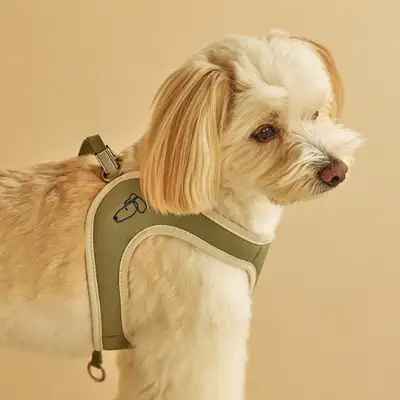 Ruff Ruff 易贴合背带 L码