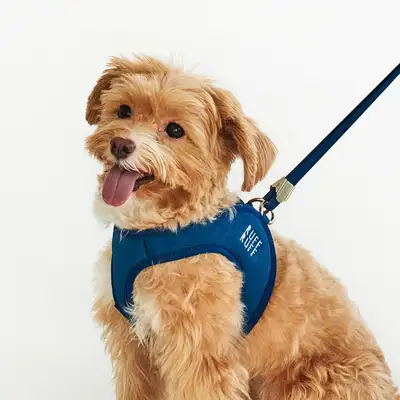 RuffRuff易穿式背带 M码