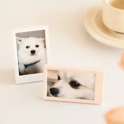 Snaplog Photocard Frame (7 Color)