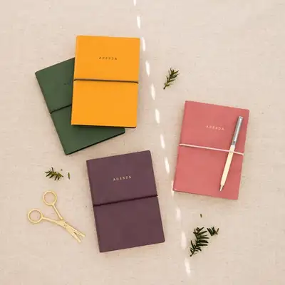 Agenda Note S