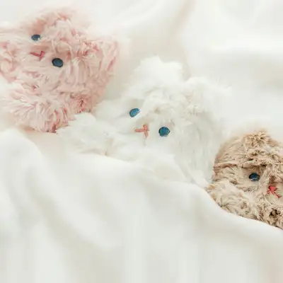 Piyou Potpourri Cat Pouch (4 Color)
