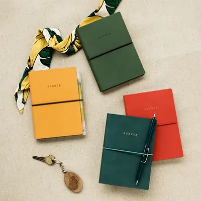 Agenda Note v.4 S