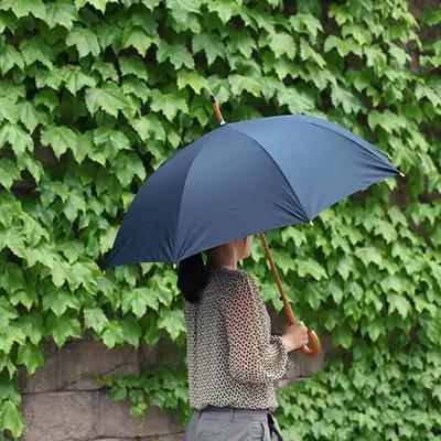 lifestudio Auto Long Umbrella Wooden Handle - 6 Colors