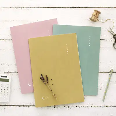 My Month Budget Planner