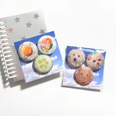 アピスオブシングズ ピンバッチ セット 2type
