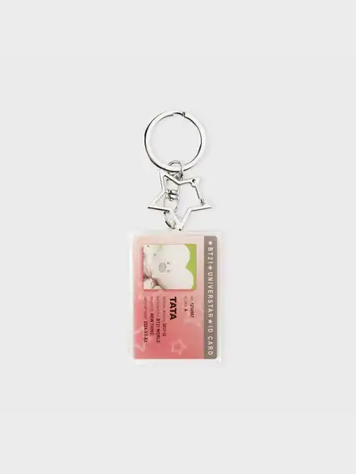BT21 TATA シルバー エディション IDカード アクリルキーリング