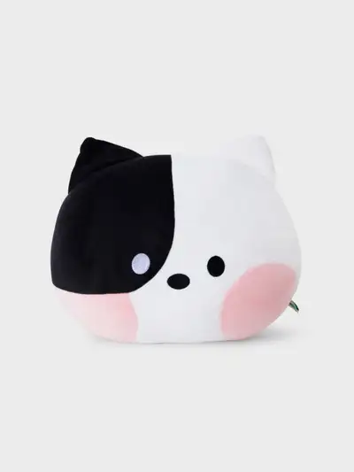 ラインフレンズ ミニニ ジェニニ顔クッション