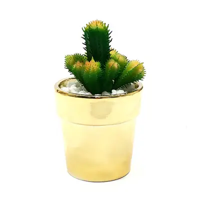 ChiChi Green 仿真仙人掌花盆