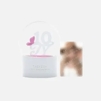 2025 TAEYEON CONCERT 'The TENSE' SNOW GLOBE SET