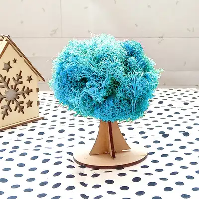 アクアモス苔木作成立体・天然苔キット