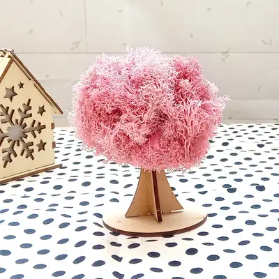ピンクモスアイシー木作りキット 立体 | 天然苔桜春