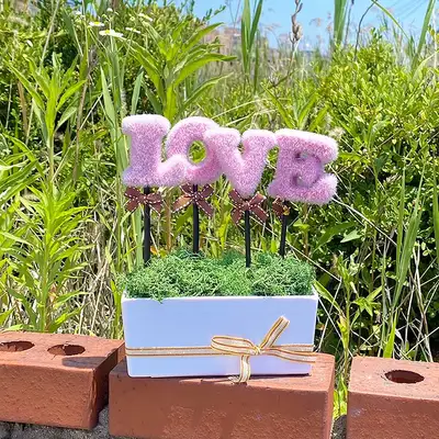 LOVE ピンク グリーン モスイコ 鉢植え | 空気清浄 植物