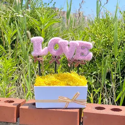 LOVE ピンク イエロー モスイキ プランター | 空気浄化