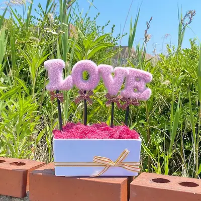 LOVE ピンク シャクナゲ モスイコケ 植木鉢 | 天然苔