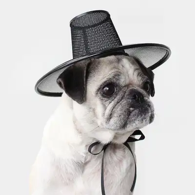Domestic Premium Mini Gat (Traditional Props Miniature Yangban Hat Event Decoration Dog Hair Accessory Folk Product Korean Souvenir)